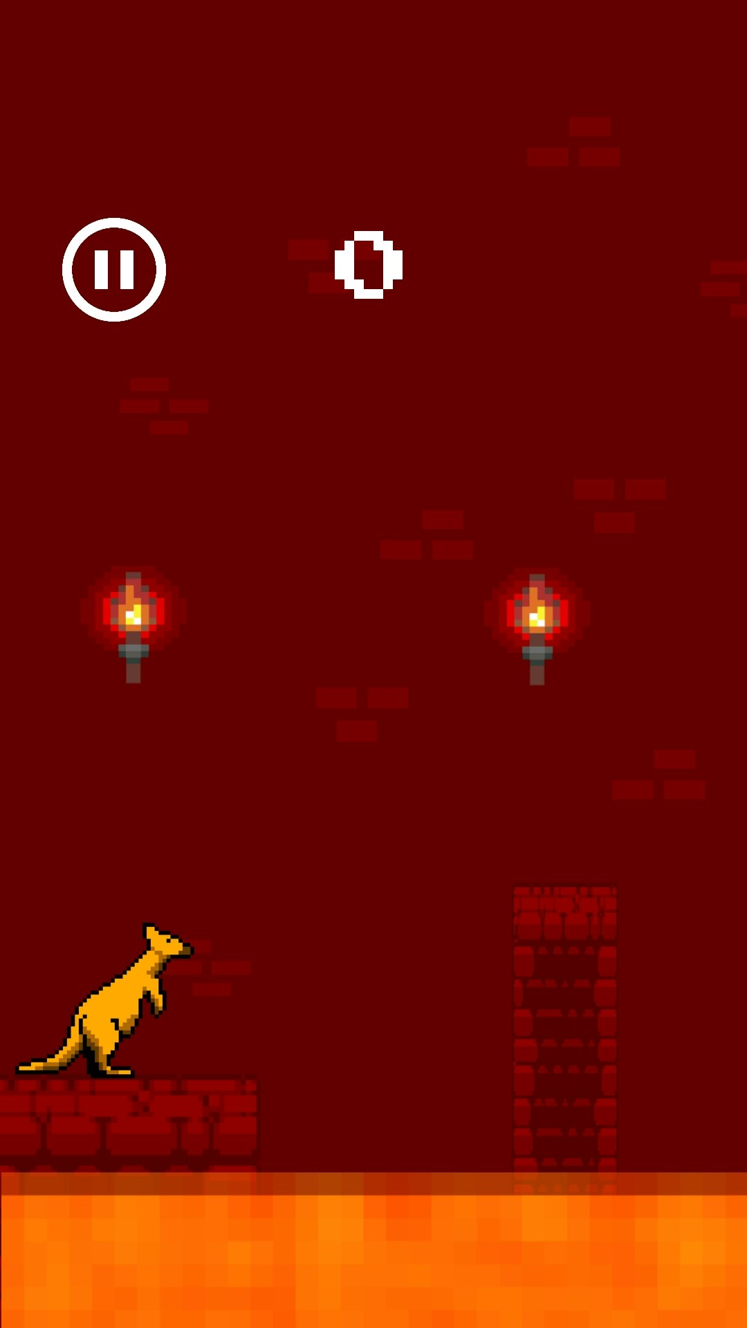 Jumping Kangaroo Product Information, Latest Updates, and Reviews