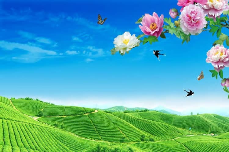 Media Hình nền tùy chỉnh - Biến đổi không gian của bạn, với hình nền tùy chỉnh 1