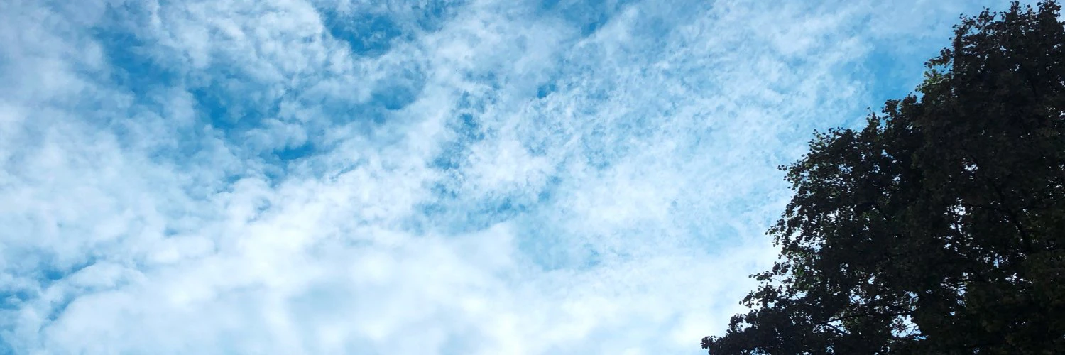 Collin Henderson cover