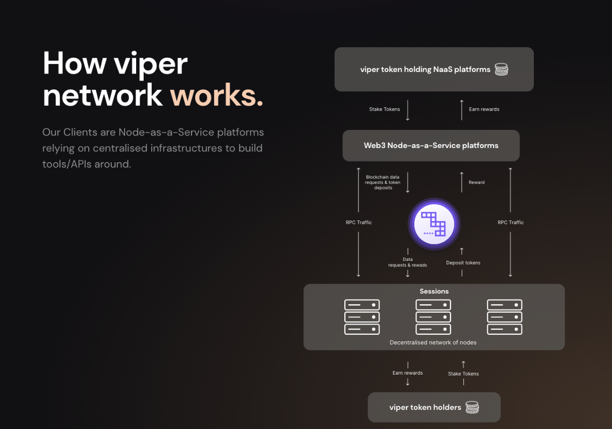 Viper -Netzwerk media 4