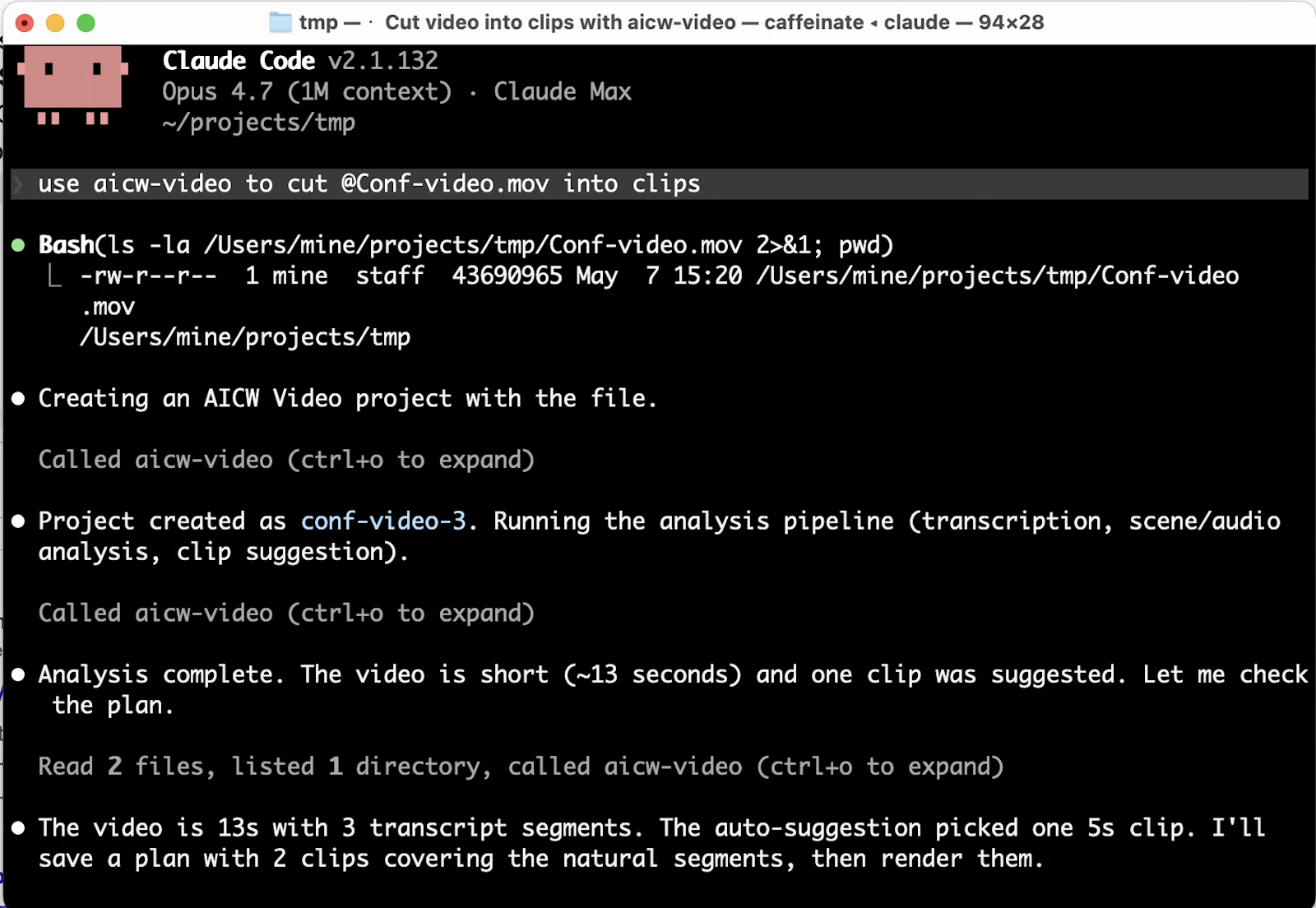 AICW Video screenshot 5
