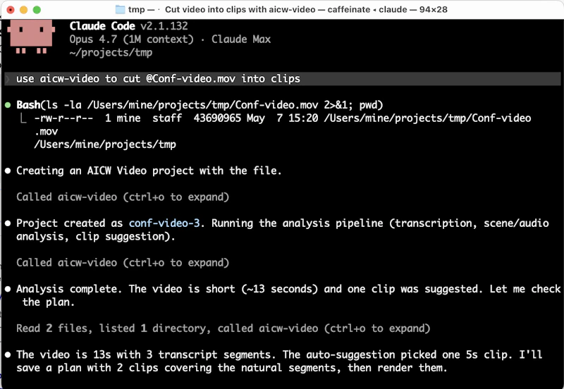 AICW Video screenshot 5