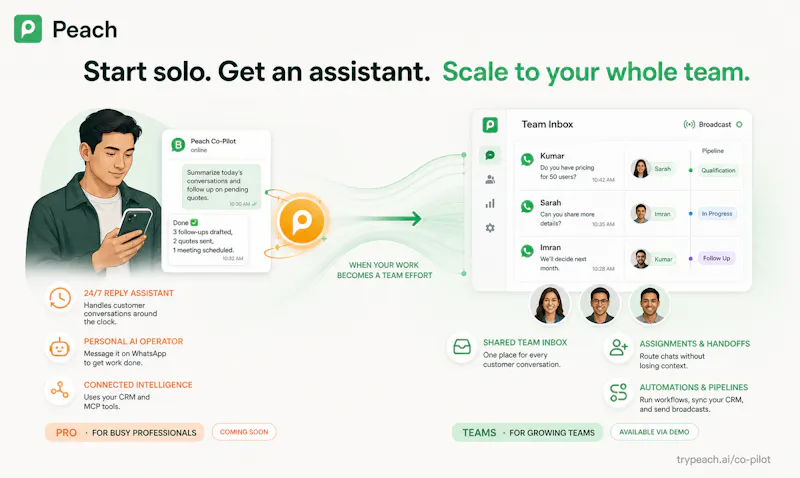 Peach Co-Pilot screenshot 7
