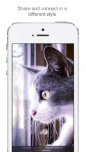 Dayflash gallery image