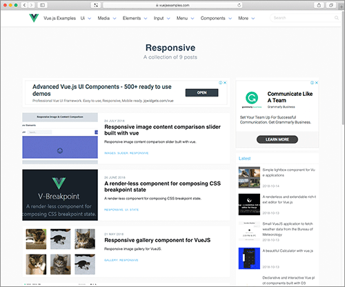 Vue Examples gallery image
