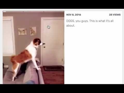 Story Boutique gallery image