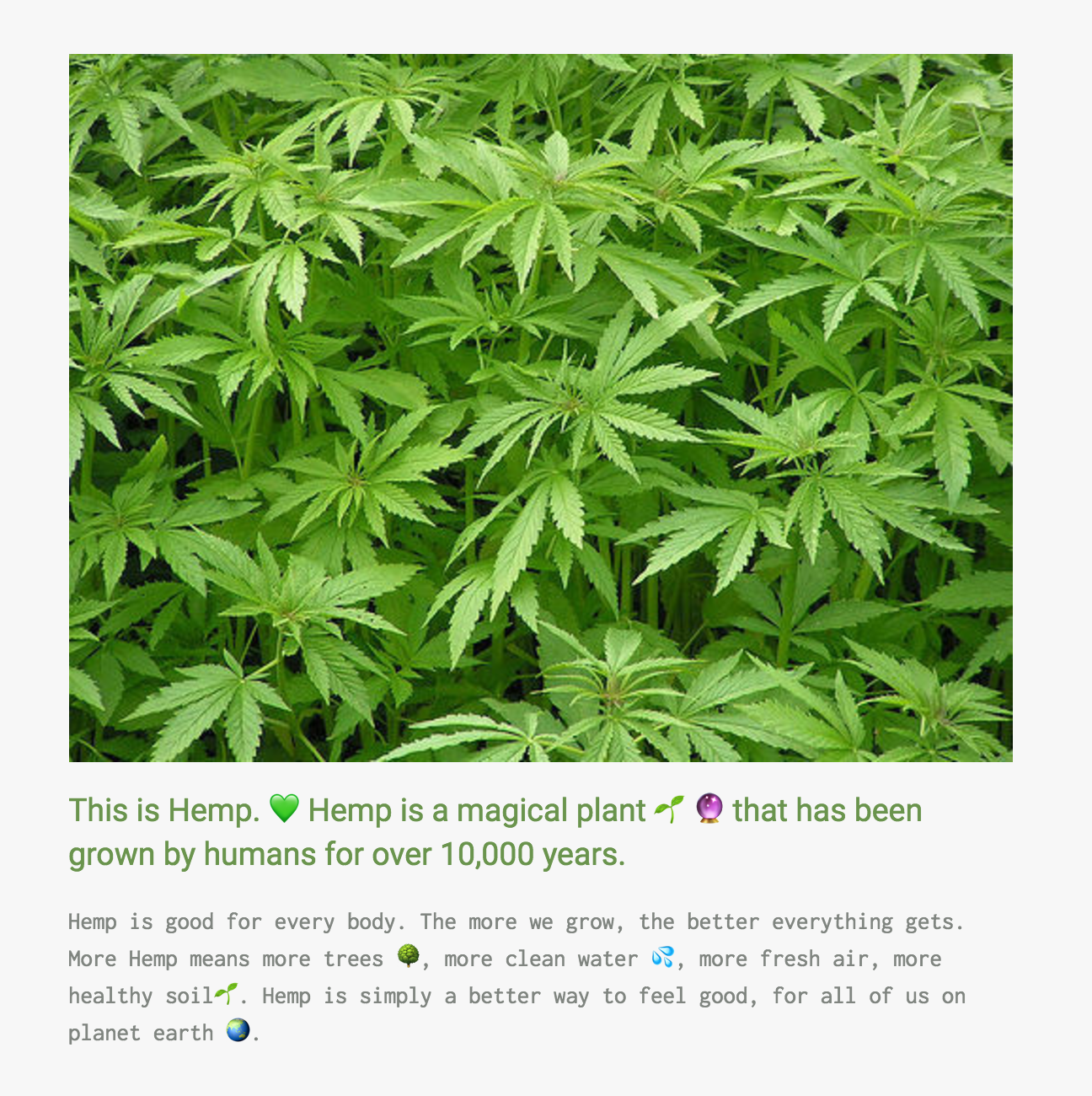 Hempies gallery image