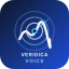 Veridica Voice AI
