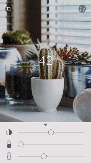 RNI Films  gallery image