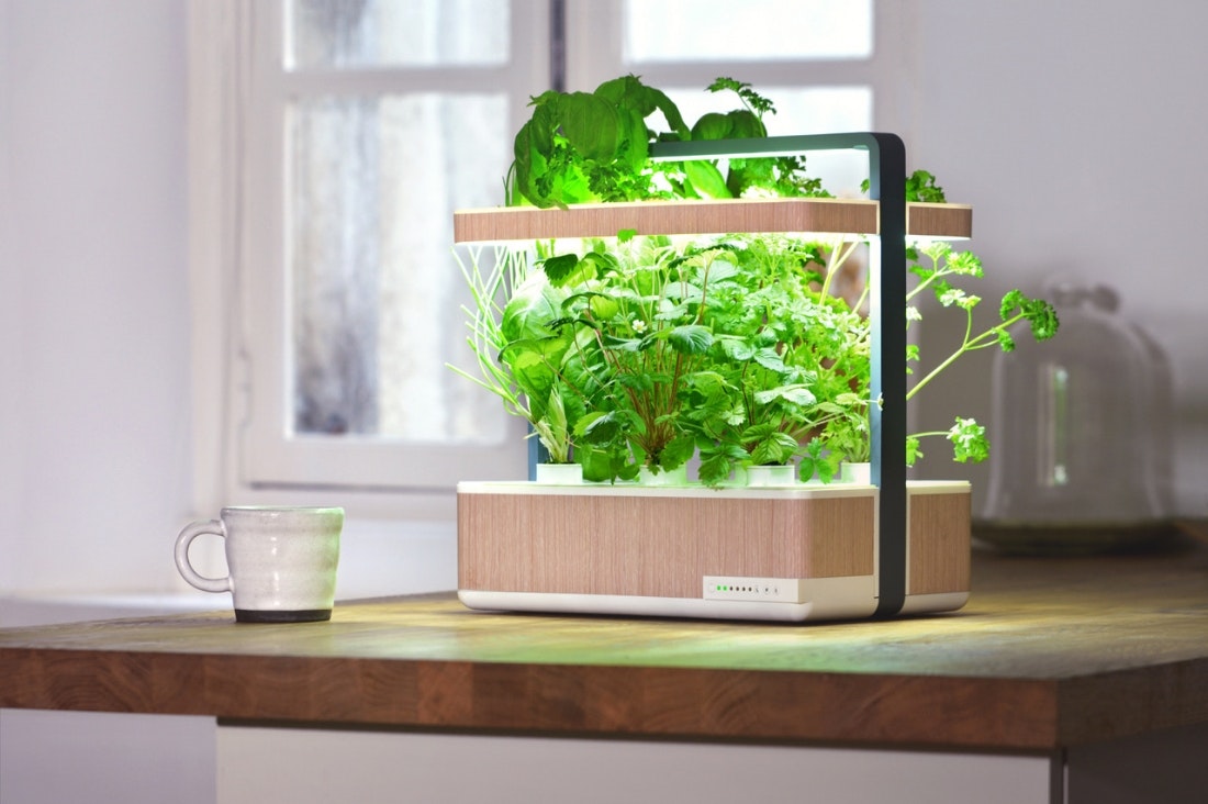 Culteev gallery image