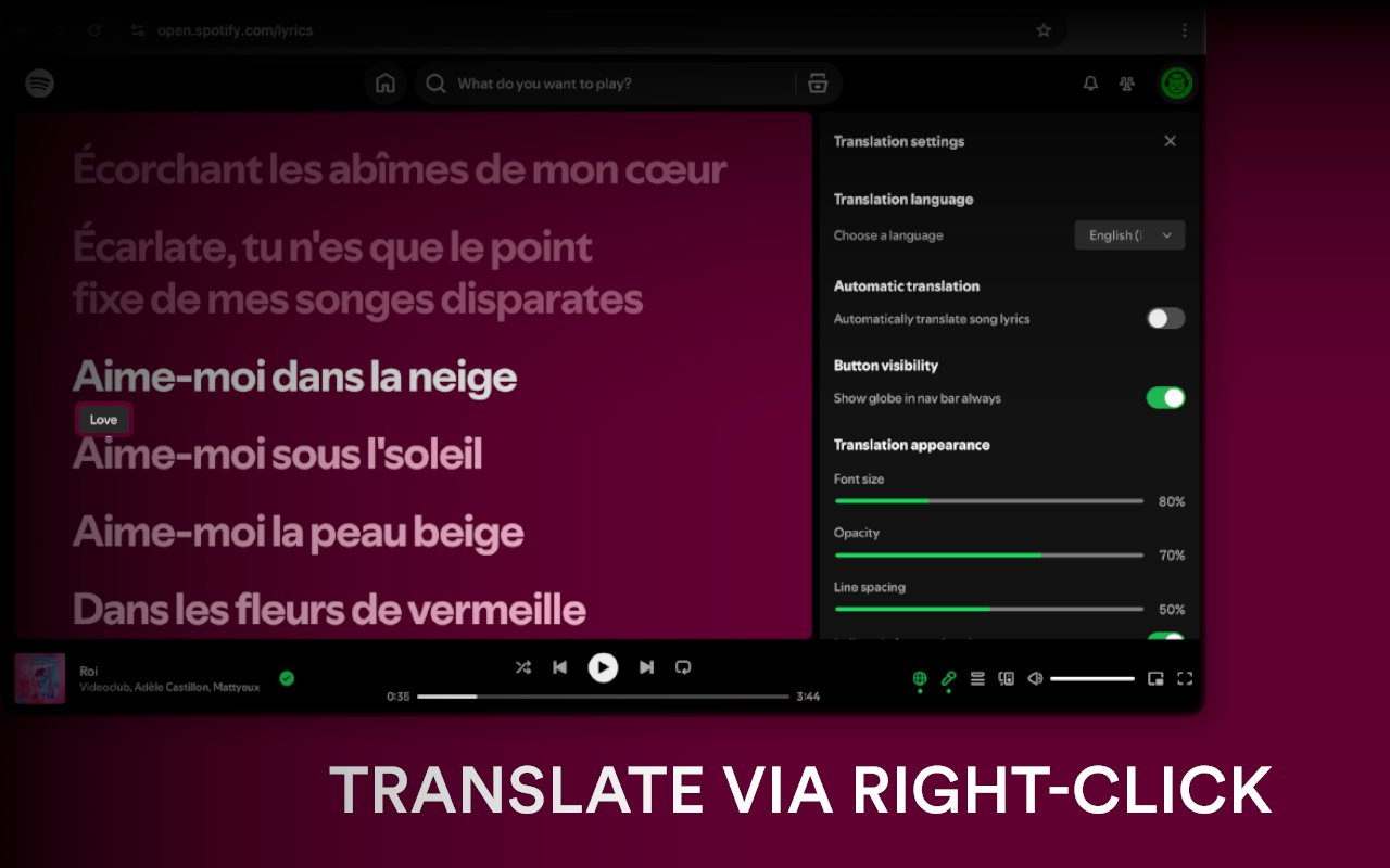 LyriCat – Spotify Lyrics Translator gallery image