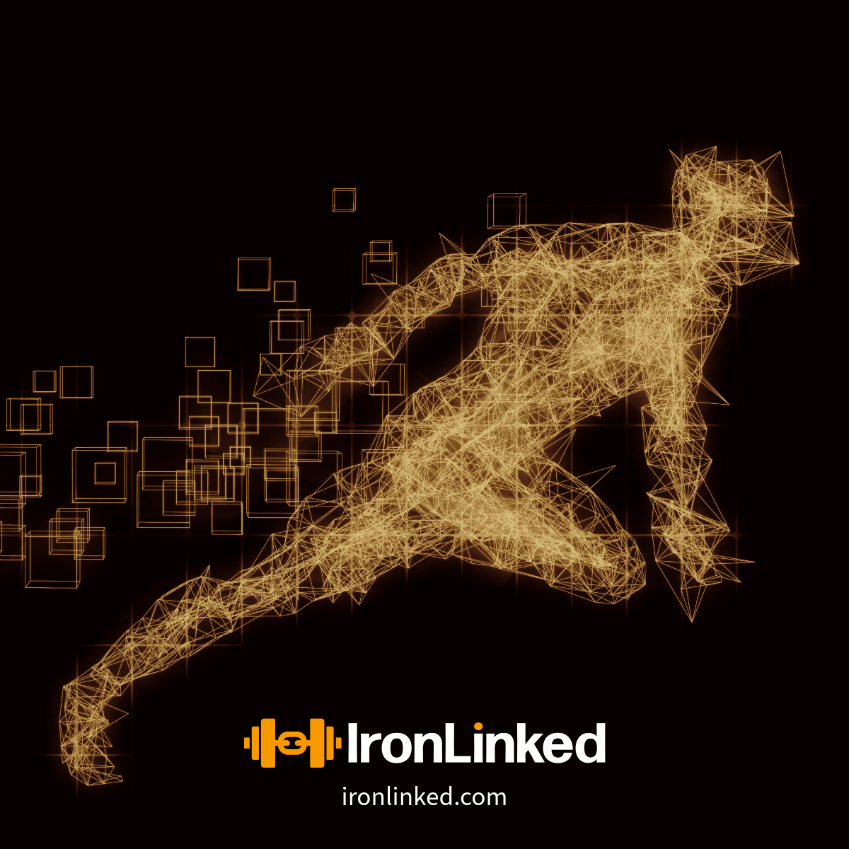 Ironlinked - Screenshot 3 showing product features and functionality