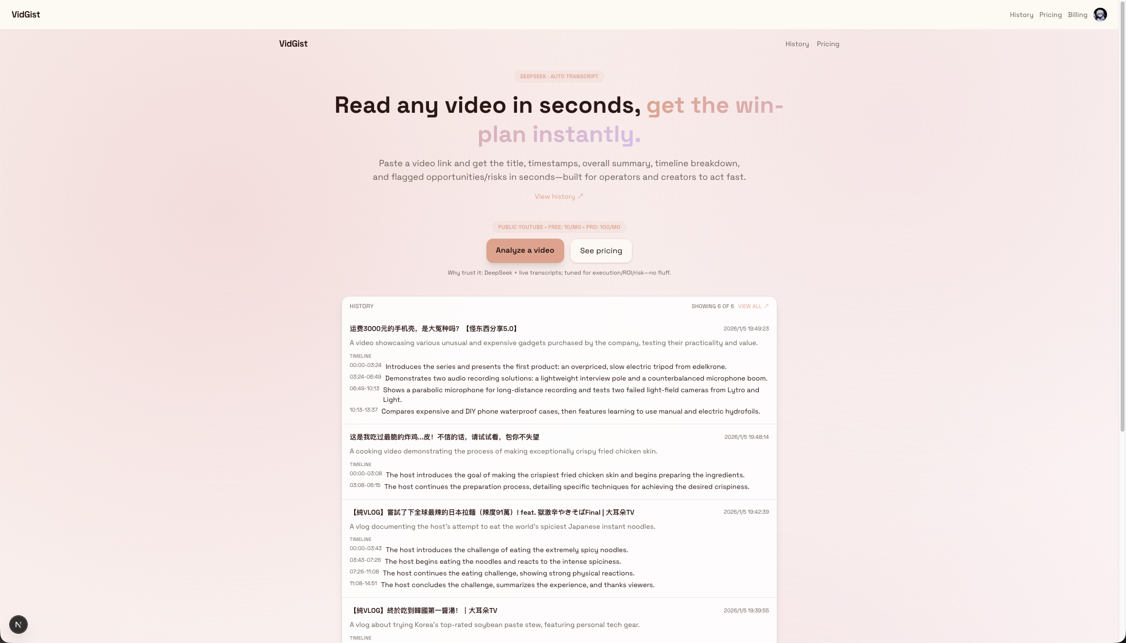 VidGist gallery image