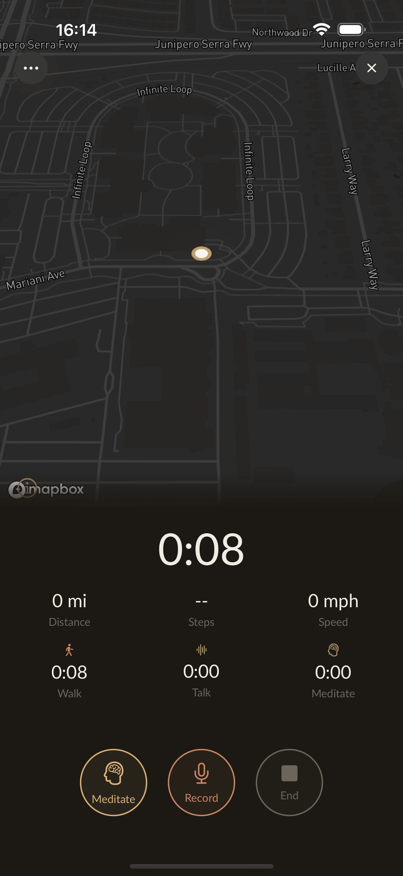 Pilgrim — A Walking Practice gallery image