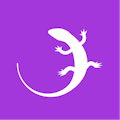 Quizgecko