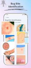 Insect Identifier: Bug Finder gallery image
