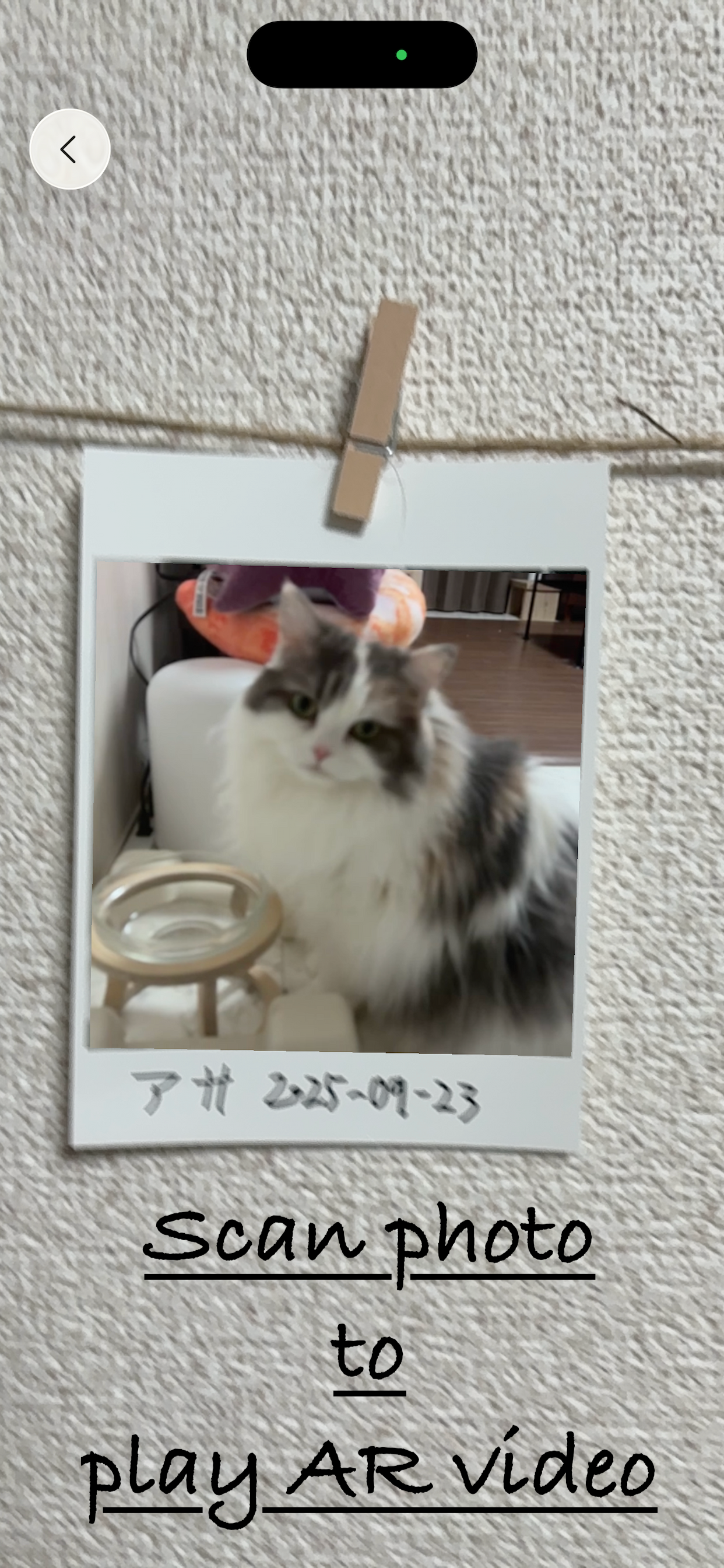 MemoriaR gallery image