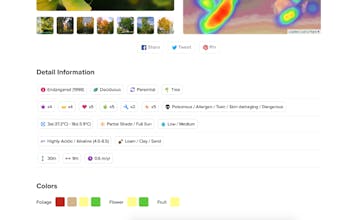 Let's Plant gallery image