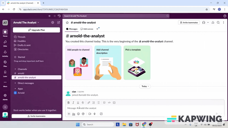 Arnold The Analyst logo