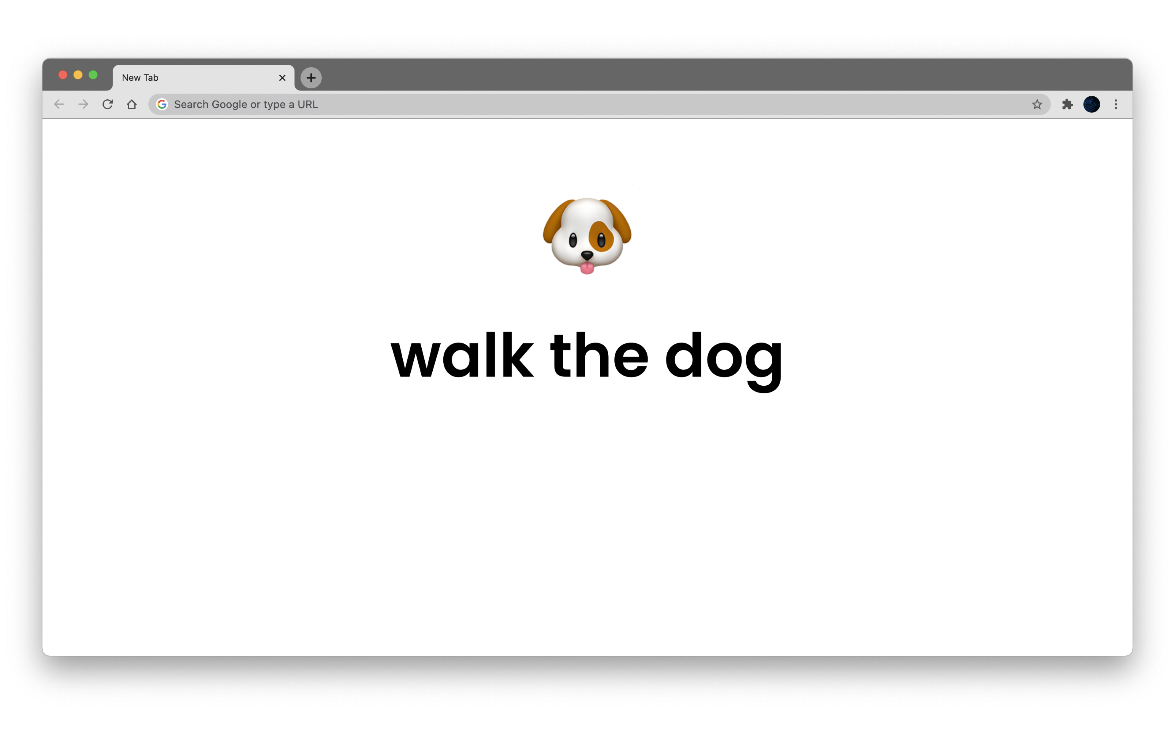 Anything gallery image