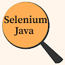 Selenium | Python | Java -vragen