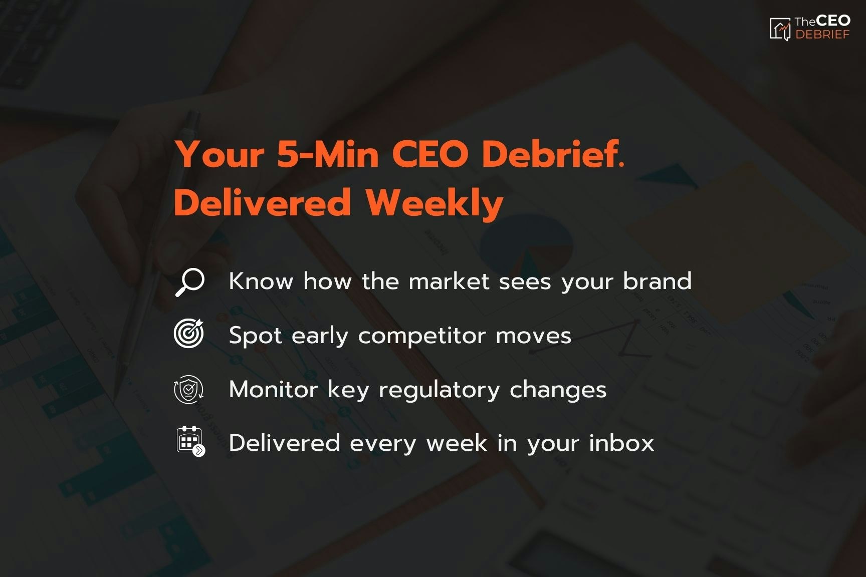 The CEO Debrief gallery image