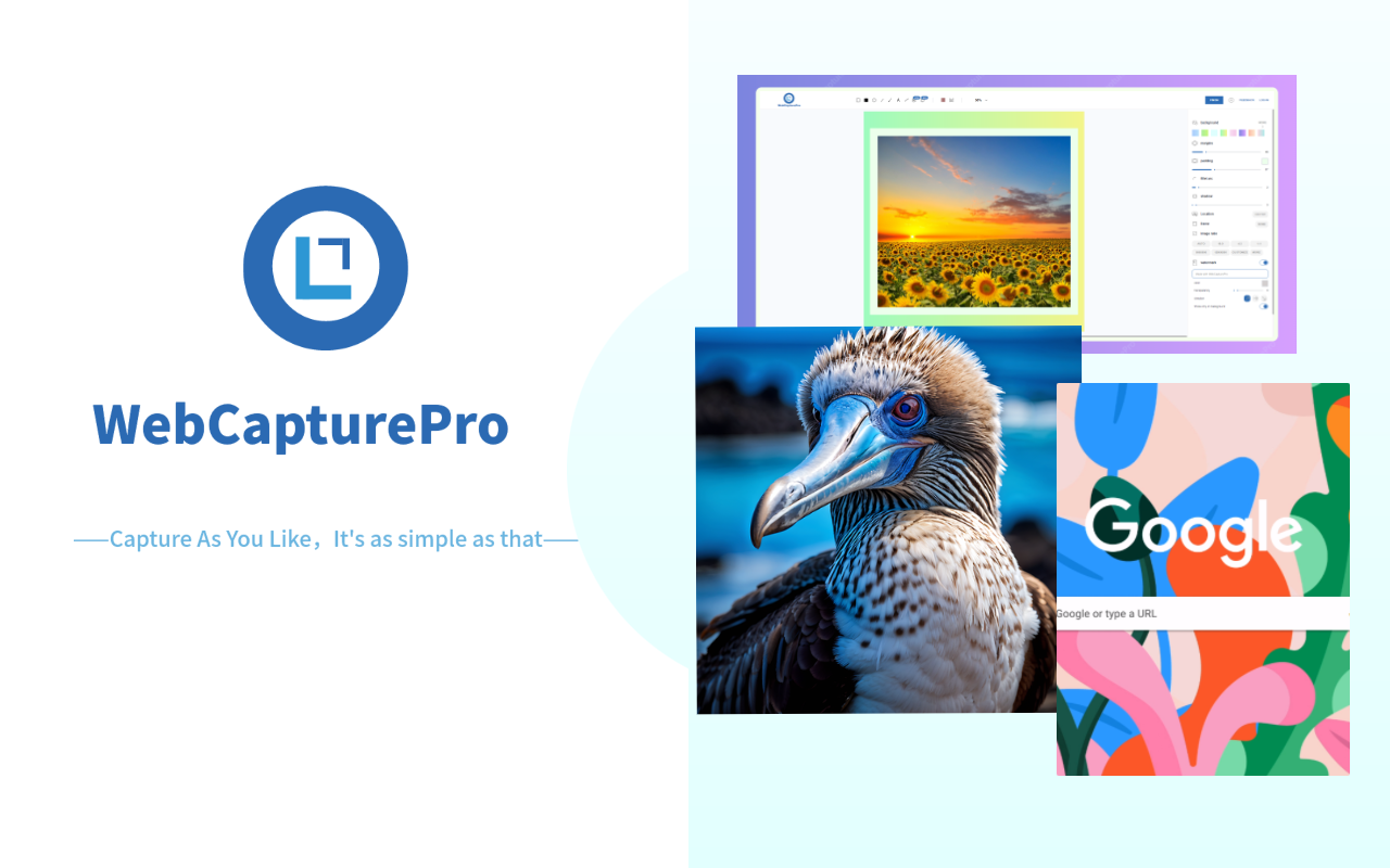 webcapturepro