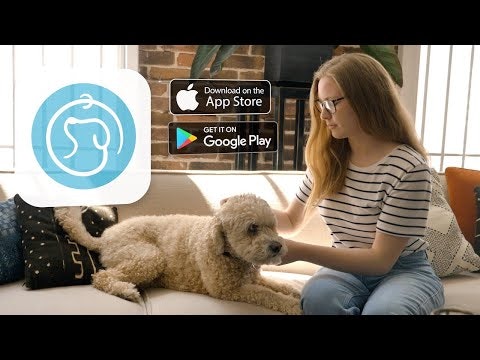 PetCode gallery image