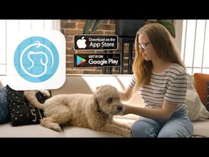 PetCode gallery image