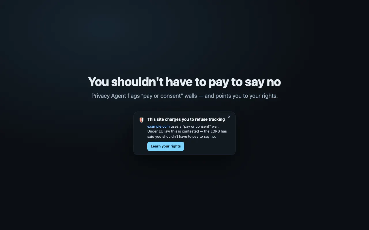 Data Privacy Agent screenshot 2