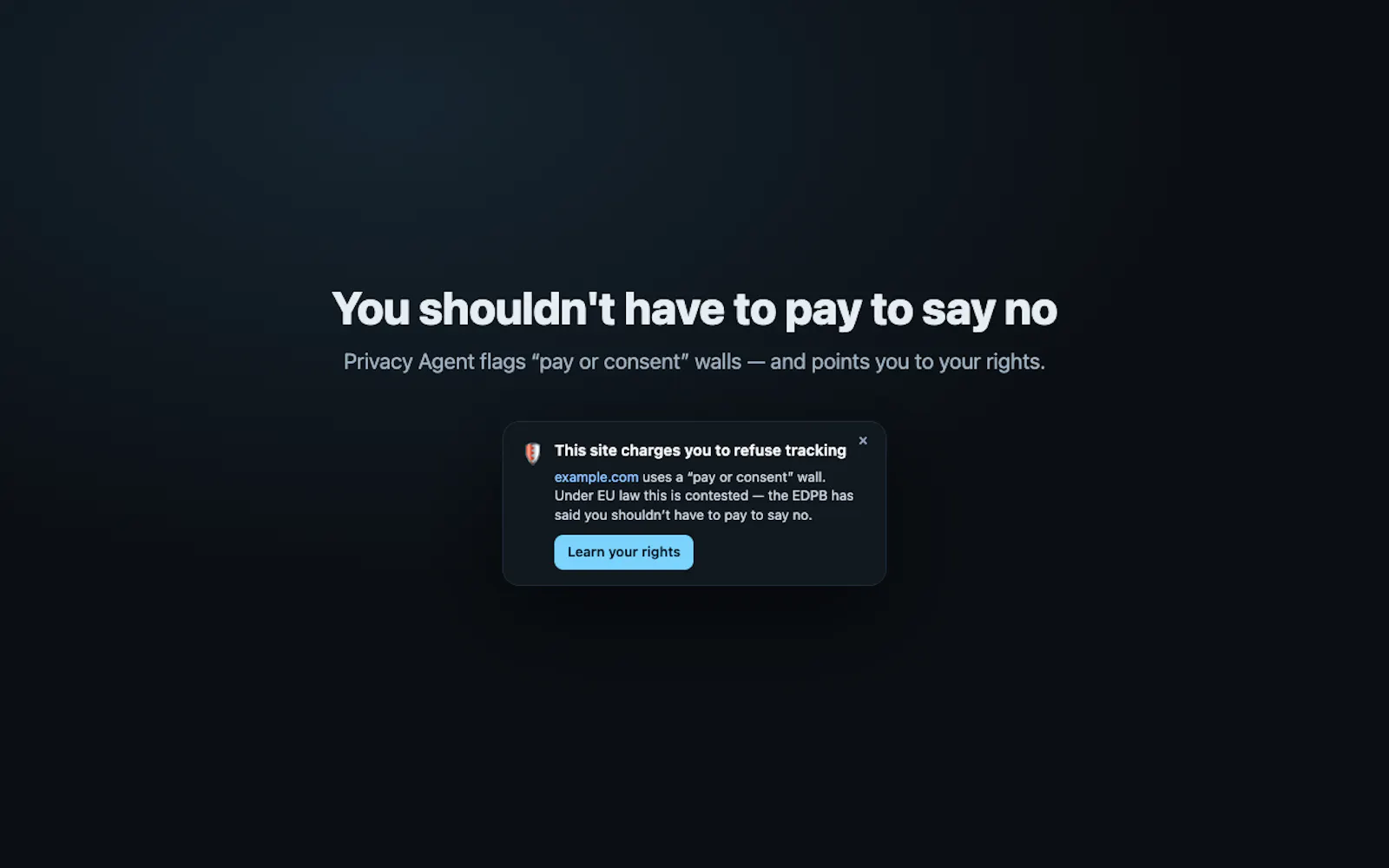 Data Privacy Agent screenshot 2