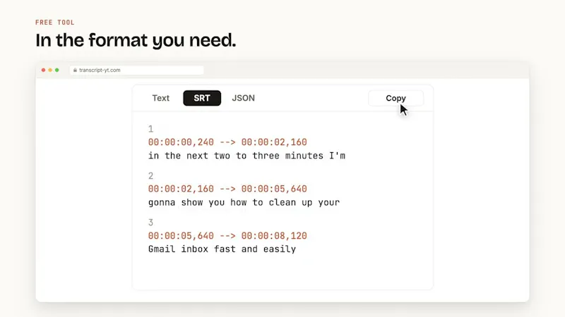 TranscriptYT screenshot 1 (video preview)
