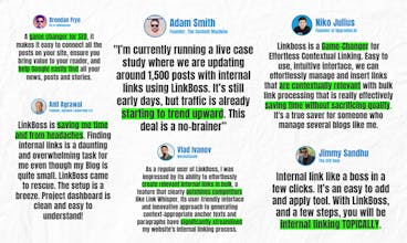 LinkBoss: AI-Powered Interlinking Tool gallery image