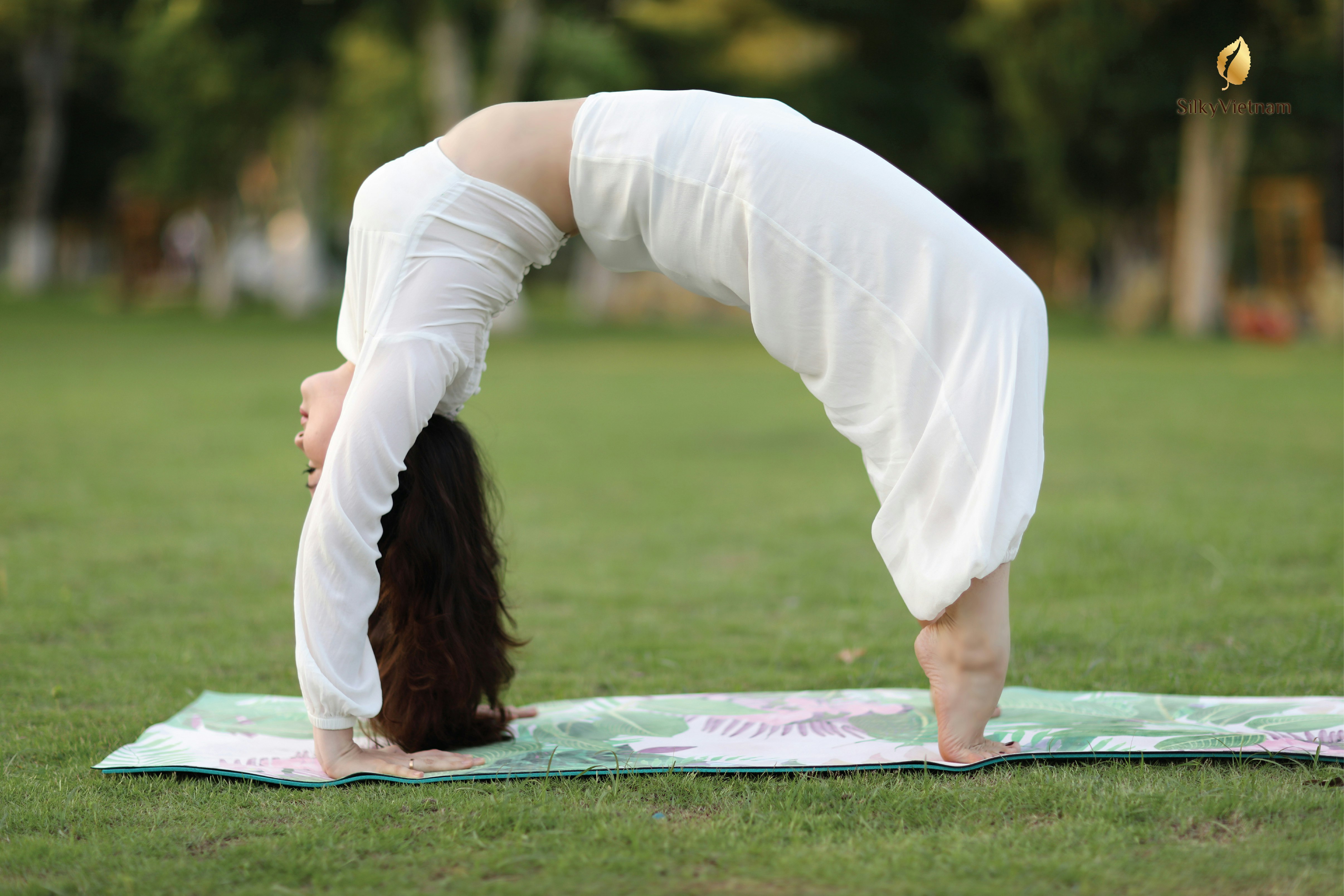 Silky 2.0 gallery image