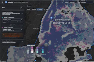 MapBees gallery image