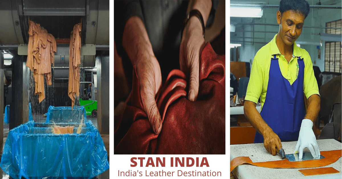 Stan India cover