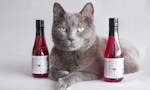 Apollo Peak: Cat & Dog Wine image