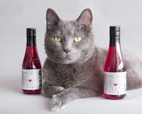 Apollo Peak: Cat & Dog Wine media 1