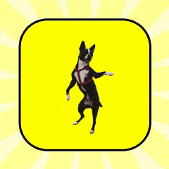 Dancing Dogs app logo