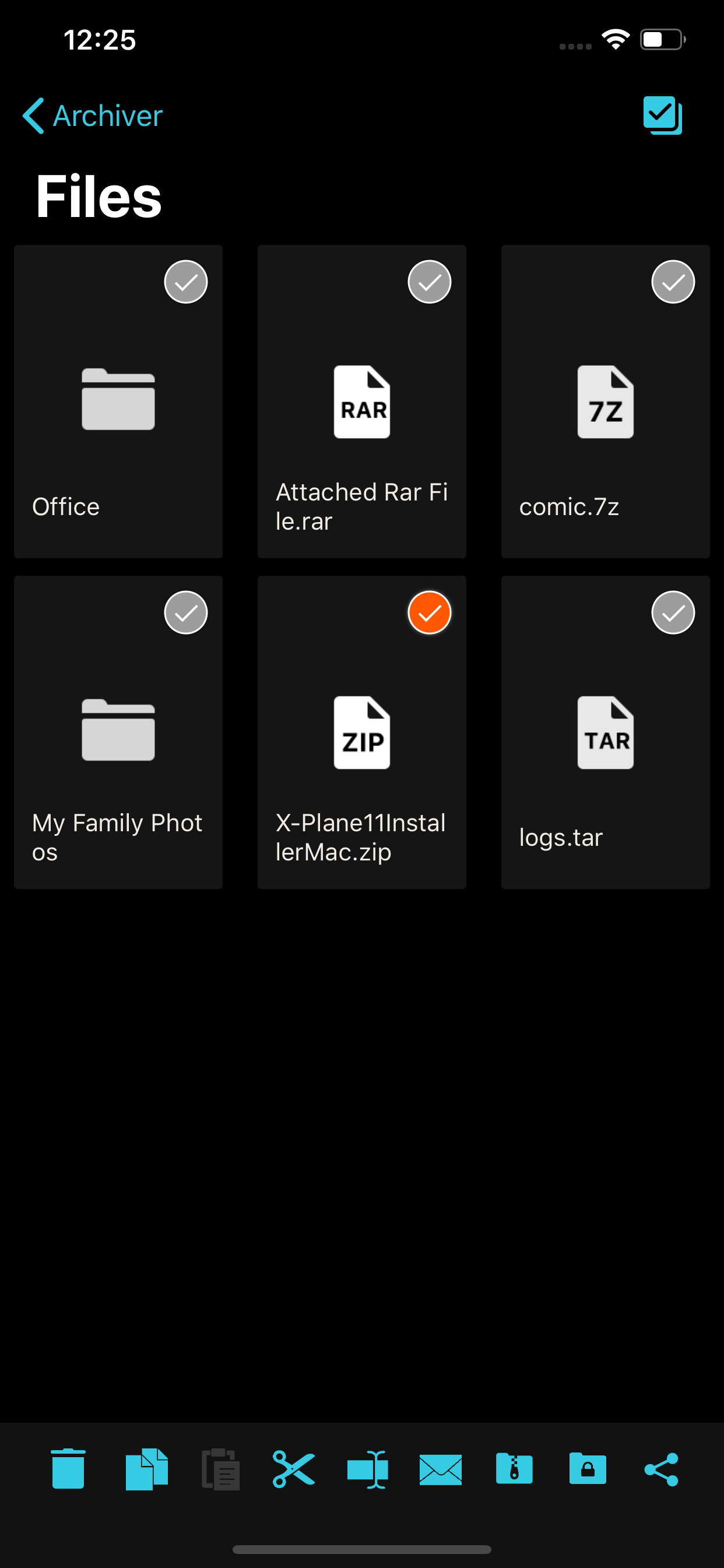 Archiver gallery image