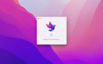 Speediness gallery image