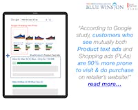 BlueWinston - automatic product ads for e-shop media 2