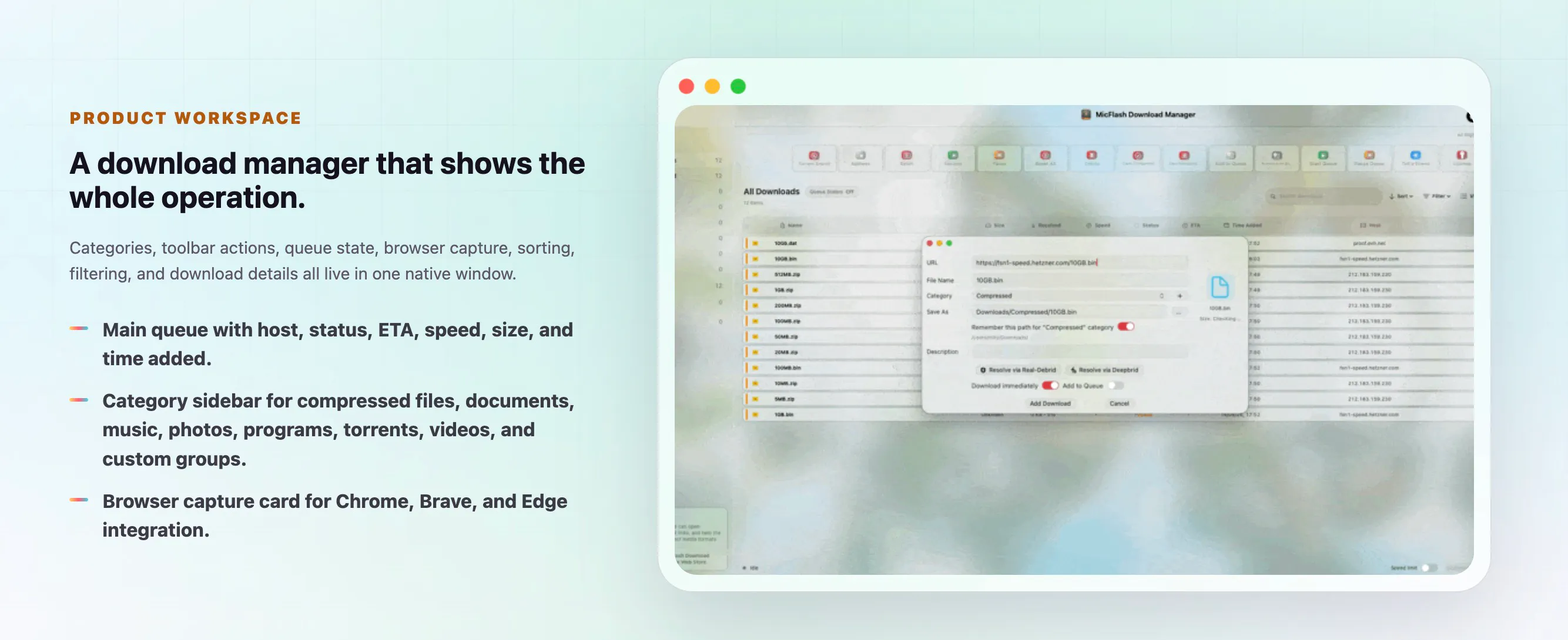 MicFlash Download Manager gallery image