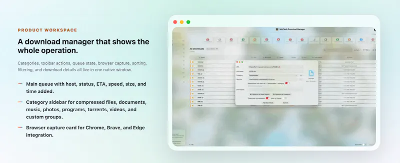 MicFlash Download Manager screenshot 2