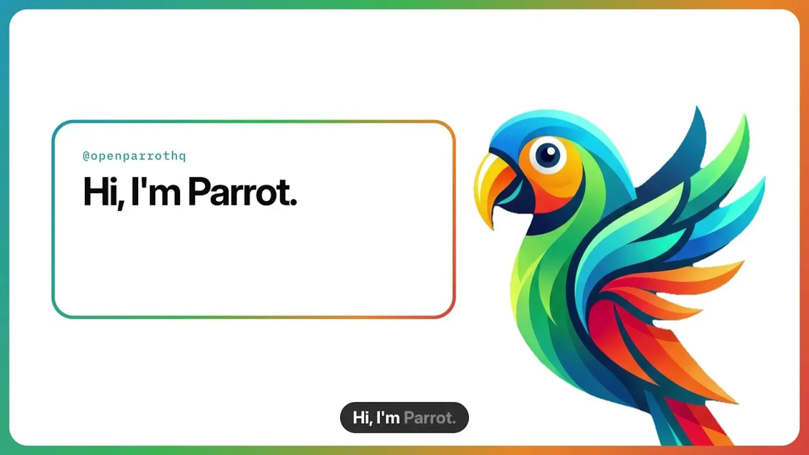 Parrot screenshot 1 (video preview)