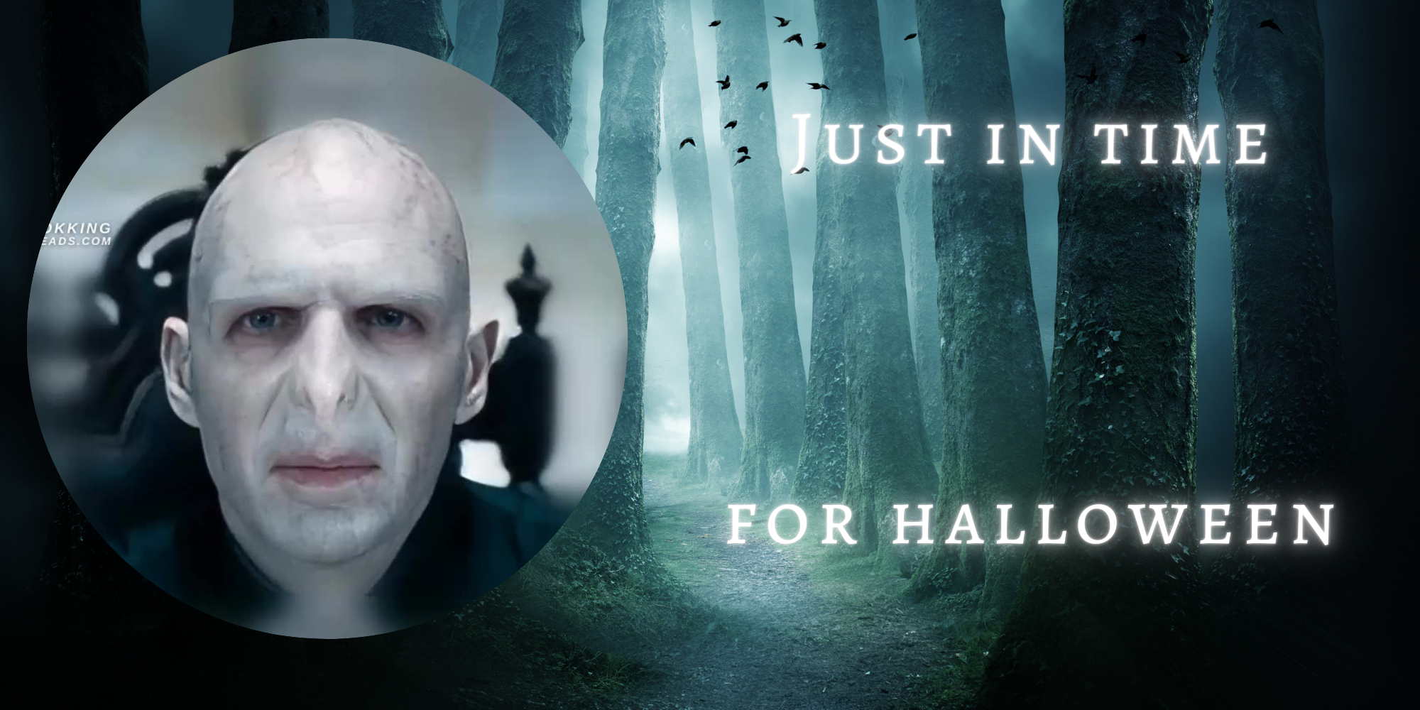 Scameo gallery image