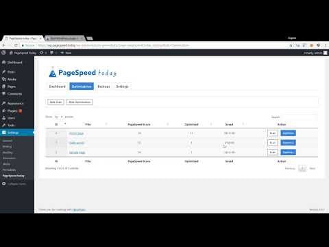 PageSpeed.Today WordPress Optimization Plugin gallery image