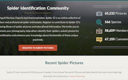 Spider ID media 1