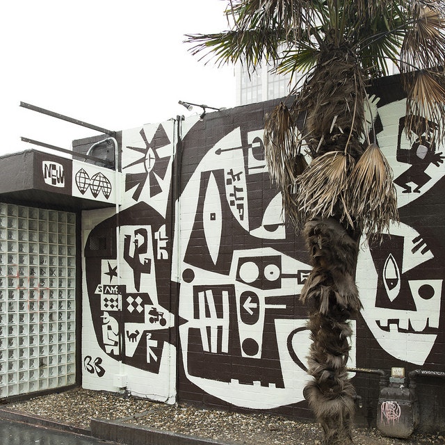 Trick Dog Mural Project gallery image