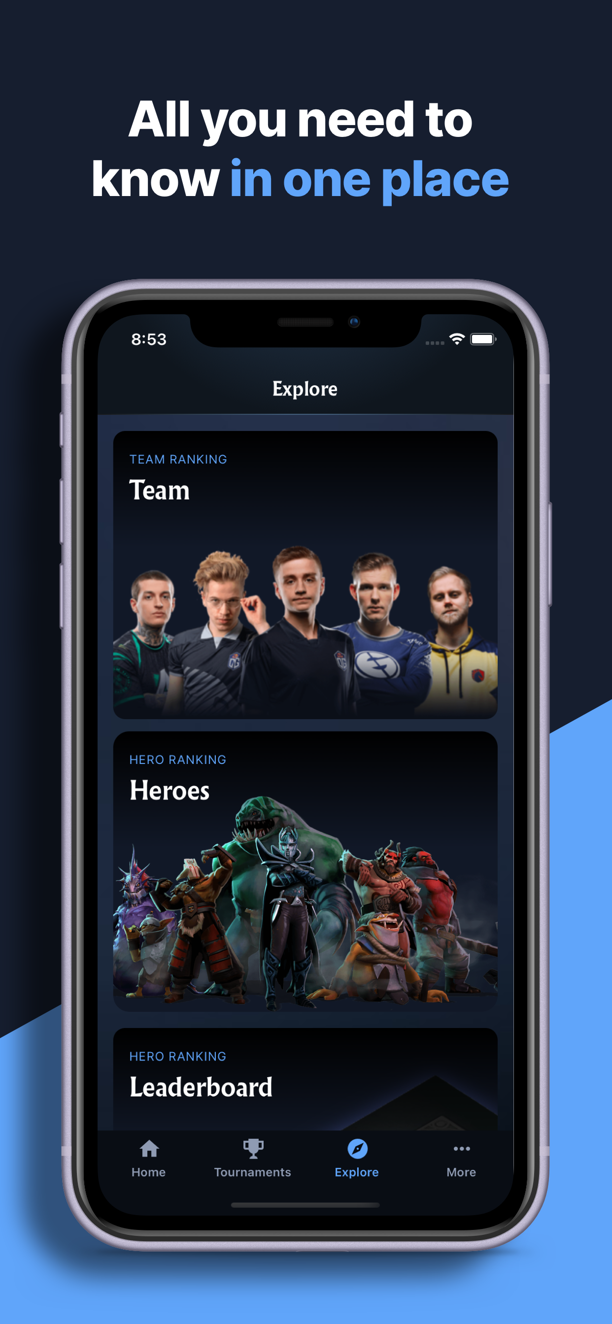 Dotastatz gallery image